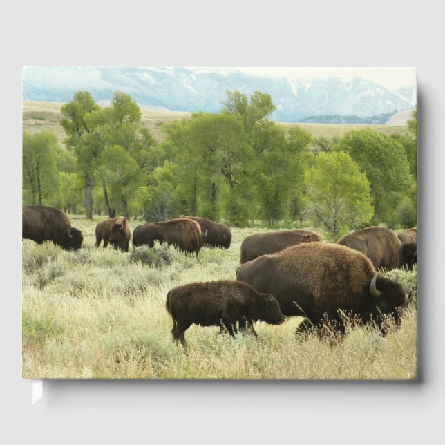 Livro De Visitas Wyoming Bison Nature (Frente)