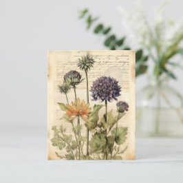 Livro-manual de plantas vitamínicas