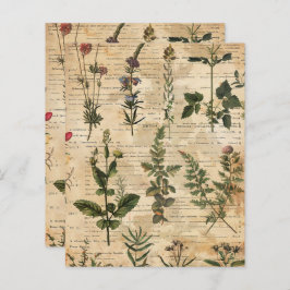 Livro-manual de plantas vitamínicas