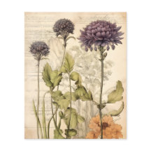 Livro-manual de plantas vitamínicas