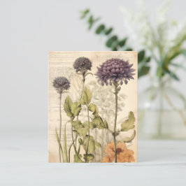 Livro-manual de plantas vitamínicas