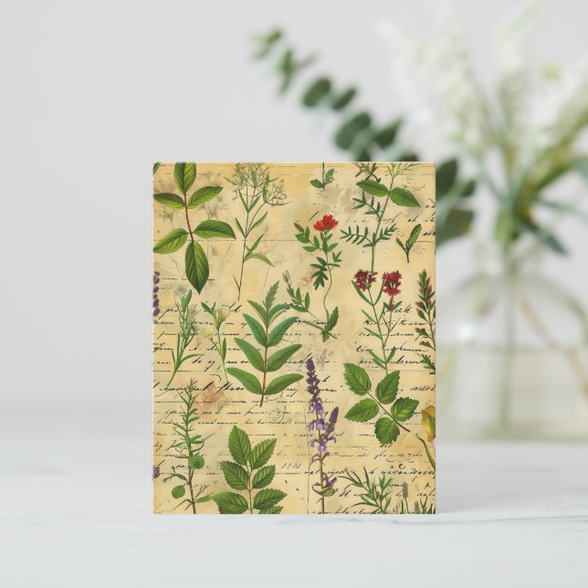 Livro-manual de plantas vitamínicas (Em pé/Frente)