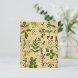 Livro-manual de plantas vitamínicas