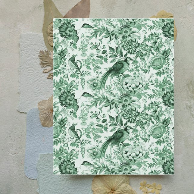 Livro Verde das Aves e Flores Franceses (Criador carregado)