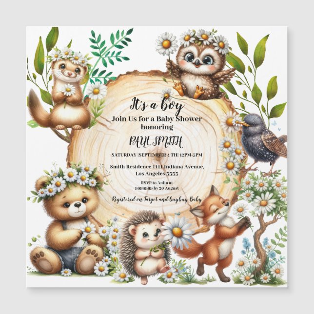 Livros infantis sobre florestas e plantas floresta (Frente)