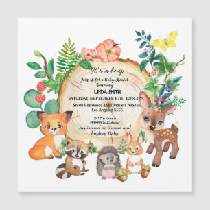 Livros infantis sobre florestas e plantas floresta