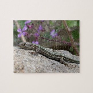 Lizard Quebra-cabeça