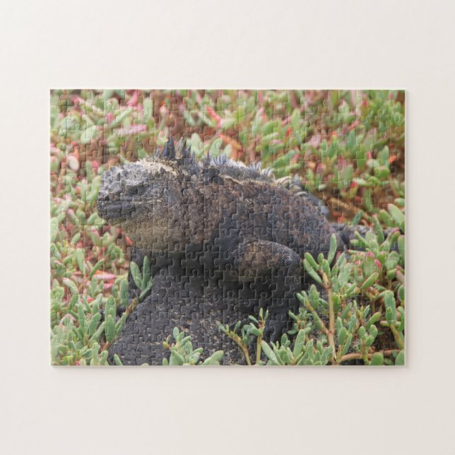 Lizard Quebra-cabeça (Horizontal)