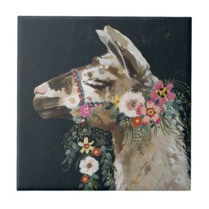 Llama adorável