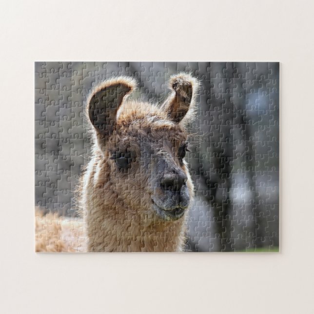 Llama Portrait, Quebra-cabeça de serra (Horizontal)
