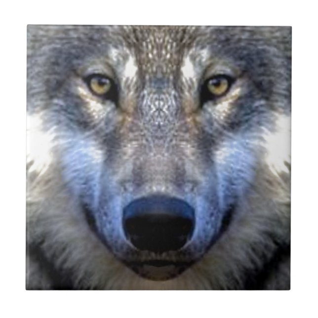 Lobo (Frente)