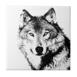 Lobo
