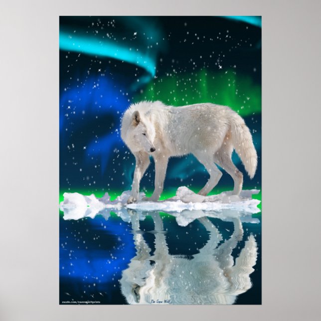 Lobo Ártico, Aurora Wildlife Art Poster (Frente)