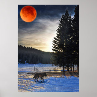 Lobo Ártico, Neve e Poster de Arte de Lago Selvage
