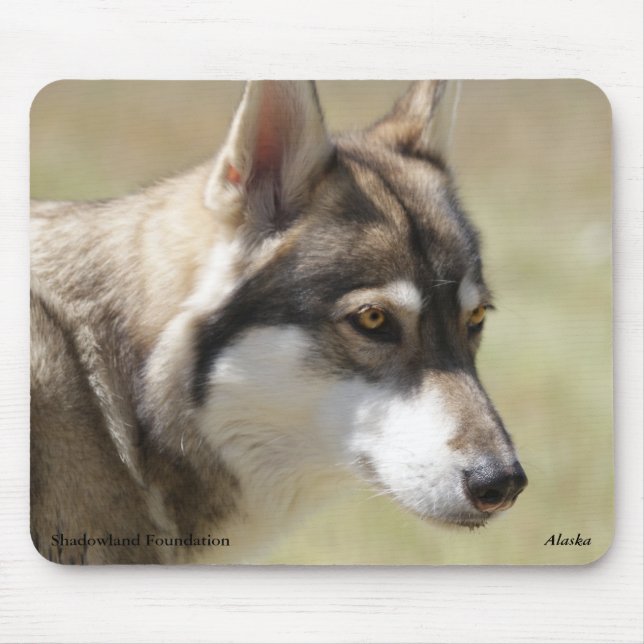 Lobo cinzento Mousepad (Frente)