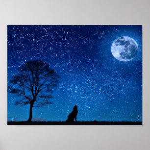 Lobo de fascinação que urra no poster da lua