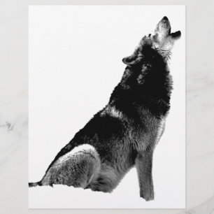 Lobo-de-Howling Branco-Preto