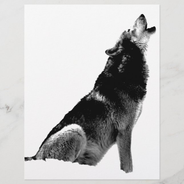 Lobo-de-Howling Branco-Preto (Frente)