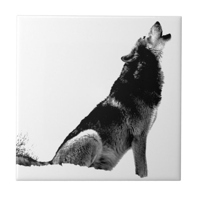 Lobo-de-Howling Branco-Preto (Frente)