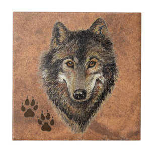 Lobo, Lobos, Natureza, Vida Selvagem, Animal Aquar