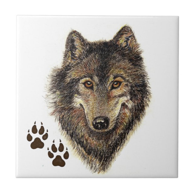 Lobo, Lobos, Natureza, Vida Selvagem, Animal Aquar (Frente)
