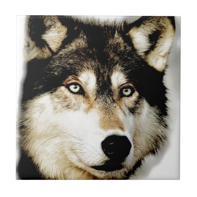 Lobo Motivacional Único (Frente)