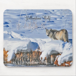 Lobo Mousepad de Yellowstone