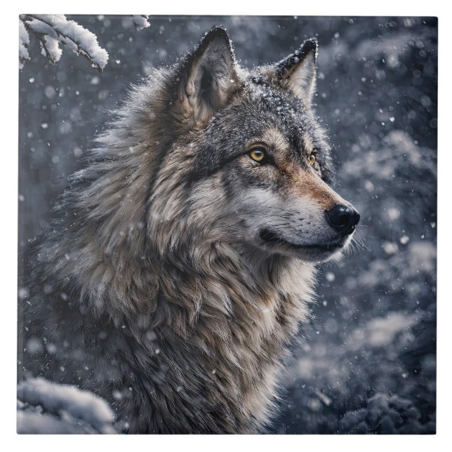 Lobo na neve de inverno do deserto (Frente)