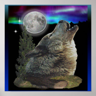 Lobo na poster da noite