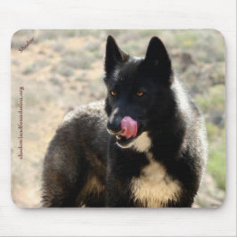Lobo preto Mousepad