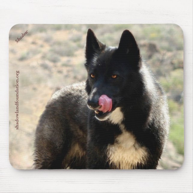 Lobo preto Mousepad (Frente)