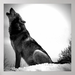 Lobo que urra no impressão do poster da lua -