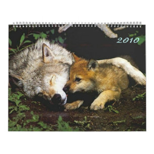 Lobos com cachorros Calendário 2010