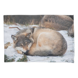 Lobos dormindo