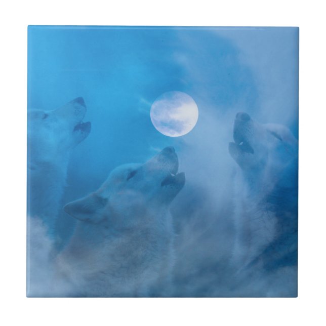 Lobos e presentes indígenas da Lua (Frente)