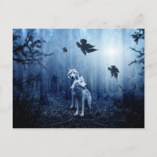 lobos no cartão postal