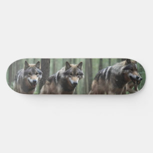 Lobos No Deck Do Skate Da Floresta