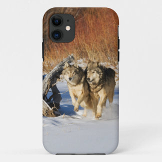 Lobos que funcionam no capa de iphone 4 da neve