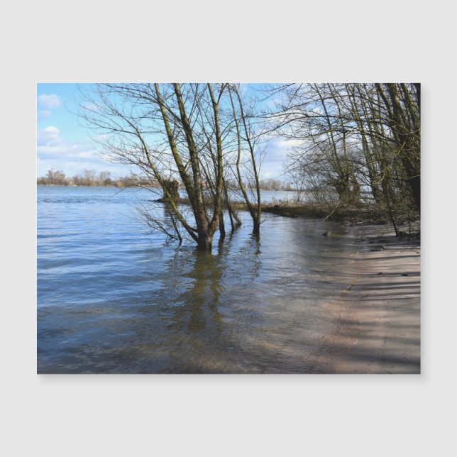 Locais Perdidos, Árvores na margem do rio (Frente)