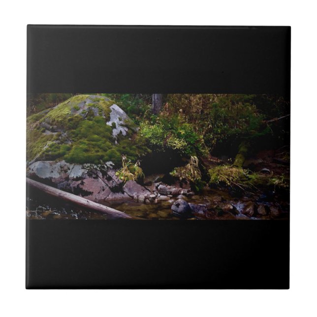 Local Secreto (Frente)