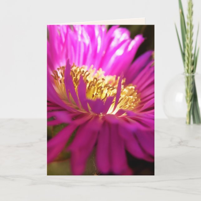 localização da luz - cartão de fotografia macro (Frente)