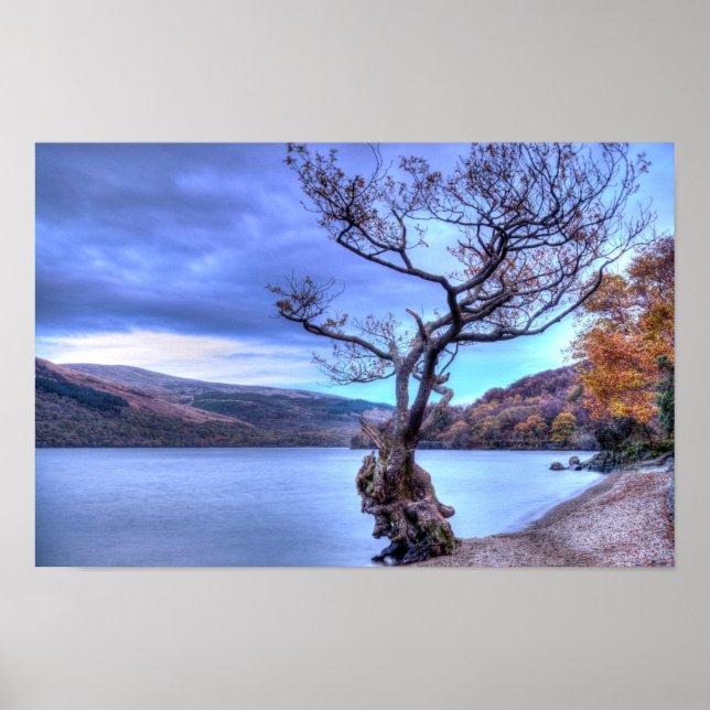 Loch Lomond, Scotland Poster (Frente)