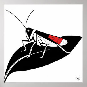 Locust On A Leaf - Archival Art Impressão