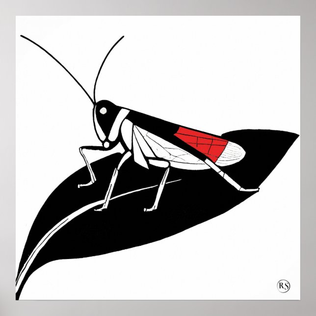 Locust On A Leaf - Archival Art Impressão (Frente)