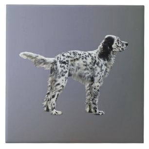 Loewellin Setter
