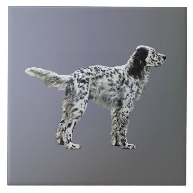 Loewellin Setter (Frente)