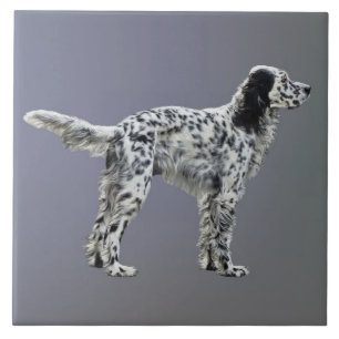 Loewellin Setter