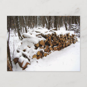 Log Pile no cartão postal Woods