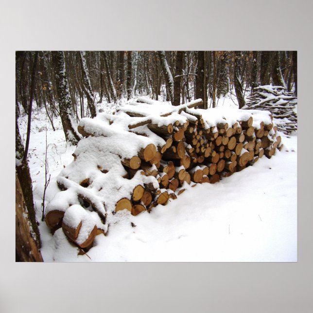 Log Pile no Poster Woods (Frente)