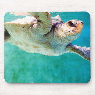 Loggerhead 3 Mousepad